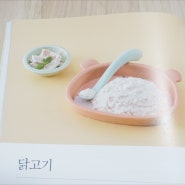 토핑 이유식 책 아기 초기 식단표 준비물 한권으로 만나보기!