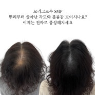 모리그로우SMP가 뭘까요??