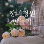 장미 정원 만들기 / 트렐리스 만들기 / 장미 심기부터 2년간 키운 과정