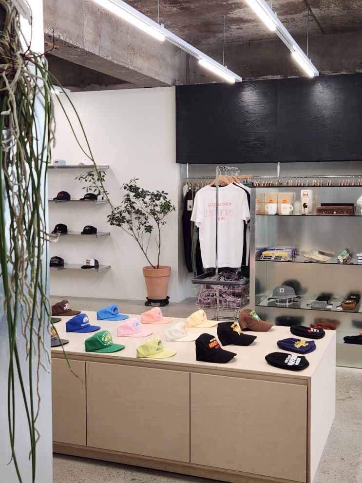 청주 성안길 브랜드셀렉샵 굿럭스토어 goodluck store : 네이버 블로그