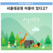 서울대공원 동물원 방문 꿀팁! APP 다운받고 이벤트 선물까지 받자