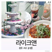 [라이크앤]광주 서구 농성동 맛집 / 요즘 핫한 분수 맛집?!