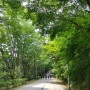 과천 서울대공원 산림욕장