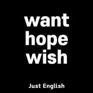 I wish 가정법 - want, hope, wish의 차이점 그리고 I wish 가정법 과거와 과거완료