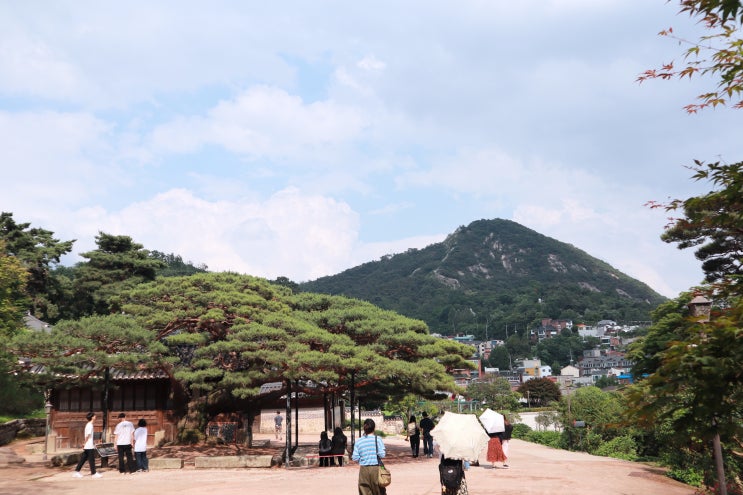 2023.06.11 (일) 석파정 서울 미술관 : 네이버 블로그