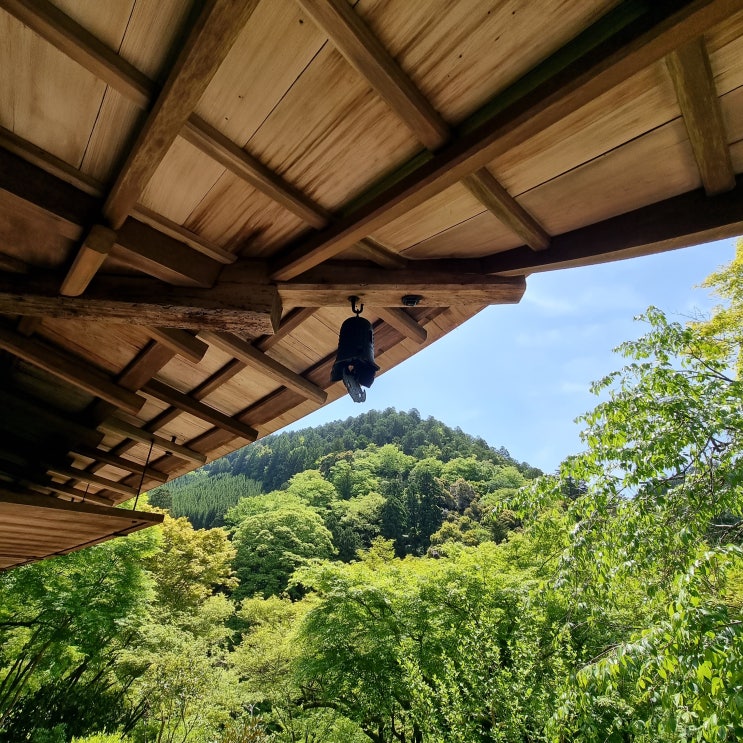 [일본/교토] 도가노산 고잔지 (Kosanji, 高山寺)