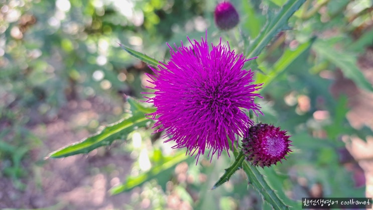 one of+한정사(the·these·those·소유격)/the 최상급+복수명사 one of 복수대명사 주어-동사 수일치 rob ...