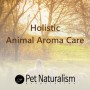 6월 온라인과정 Holistic Animal Aroma Care - 반려동물아로마테라피 Basic 자격증반