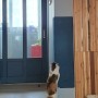 [내돈내산] 따스넉 고양이 수직 스크래쳐. 벽붙카페트