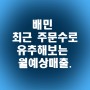 '배민 최근 주문수'의 기간과 월예상 매출 알아보기
