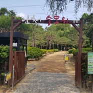 인천시 맨발걷기 운동 하기좋은 곳 장소 추천 인천대공원 수목원