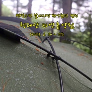 변덕스런 날씨지만 편안했던 캠핑...청태산자연휴양림(2023. 6. 10 ~ 11)
