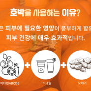 [FAU]샤이니 파우 펌킨 테라피 / 피부 미백 및 주름관리 개선효과