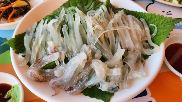 제주 한치회 제철한치 노지감성 동한두기 : 네이버 블로그