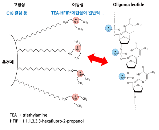 올리고핵산 분석 전용컬럼 네이버 블로그