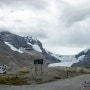 밴쿠버, 옐로나이프, 캐나다 로키 자유여행 53:사계절 내내 겨울인 얼음 평원 콜럼비아 아이스필드(Columbia Icefield)(190904, 수)