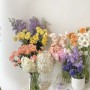 부천 꽃집 커밍업로즈, 여름 꽃들 보여드려요 :)