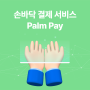 손바닥으로 결제한다! 손바닥 결제 서비스 Palm Pay
