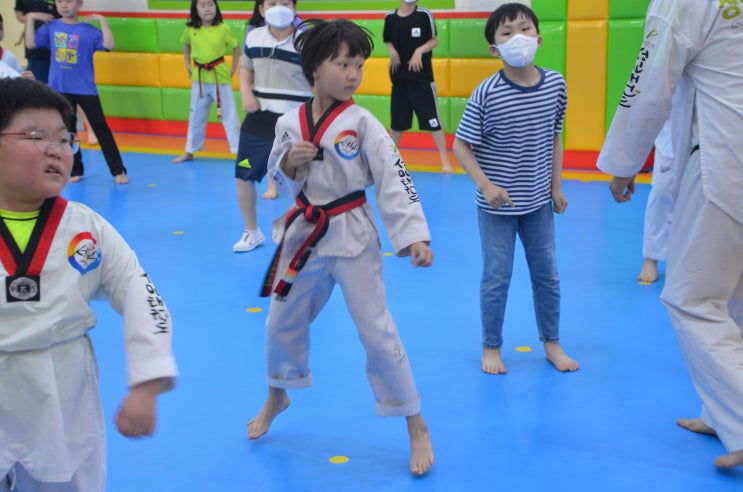 용인대 성민 태권도) 오늘은 스텝 발차기다!! : 네이버 블로그