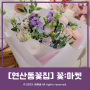 [연산동꽃집] 기념일 예쁜 꽃다발 가성비 좋은 '꽃:마켓' 풍성한 꽃다발 후기!