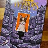 가람어린이 - warriors 시리즈를 그래픽노블로 전사들 하늘족과 낯선 고양이 그래픽노블