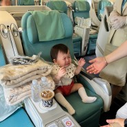 대한항공 프레스티지석 베트남 다낭 여행 (17개월 아기랑 비즈니스석타기, 기내식, 서비스)