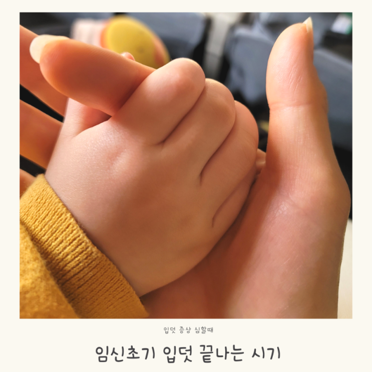 임신초기 입덧 시작 끝나는 시기 심할때 증상 이유는 뭘까 : 네이버 블로그