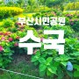 김해 수안마을 울산 장생포 부산 영도 태종대 수국 정원 축제 해운대 송림공원 수목원 시민공원 꽃 만개