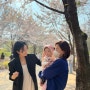 4월 서울숲 벚꽃놀이 나들이룩