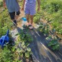 아이들의 농장 반려식물들
