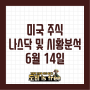 미국주식 나스닥 6월 14일 리뷰 : 소비자물가지수 CPI 결과 4.0% , FOMC 금리 동결 가능성