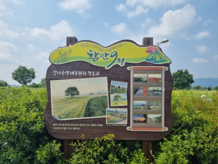 함안 강나루생태공원 산책