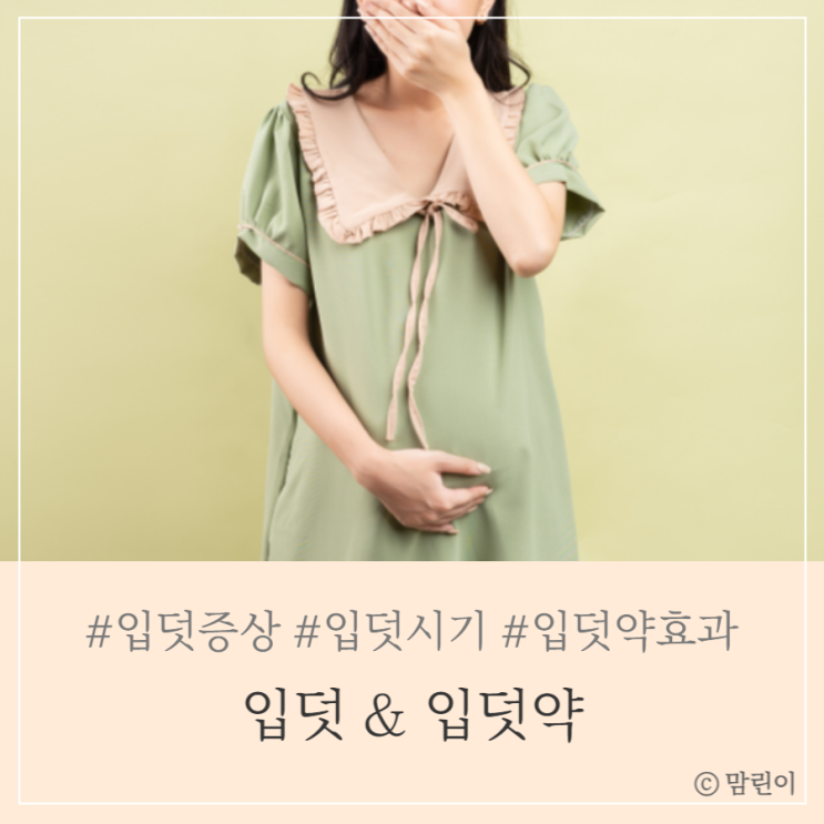 입덧 시기 증상 이유 심할때 입덧약효과 부작용 : 네이버 블로그