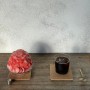 일본여행 / 교토맛집 분위기 좋은 카페 우메조노사보 그리고 야키니쿠가 맛난 야키니쿠 라이크 ( 코에츠지, 겐코안 )