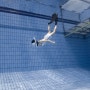 수영X 물공포증O 프린이의 내돈내산 프리다이빙 도전기!
