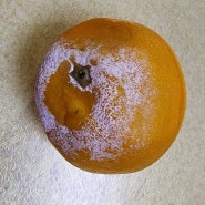 롯데마트 통영점의 상한 오렌지 판매