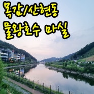 2023년6월14일 오후8시 목감동/산현동에서 본 물왕호수