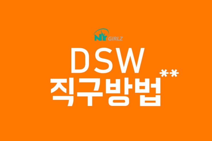 dsw 직구방법 23년 초보자 버전 총정리 : 네이버 블로그