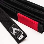 Black Belt is a White Belt that Never Quit