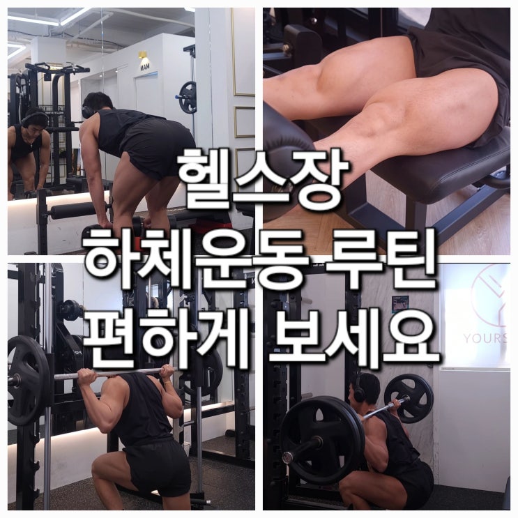 탄탄한 하체 운동 루틴 = 바벨스쿼트 / 스미스머신 백 런지 / 레그 익스텐션 / 스티프 데드리프트 자세 효과 : 네이버 블로그