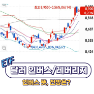 달러 하락에 베팅하는 달러 인버스 ETF (ft.Kodex 미국 달러 선물 인버스)