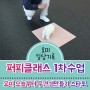 시흥 퍼피클래스 첫 수업, 아기강아지 비숑프리제 요미 일상기록