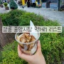 강릉 중앙시장 맛집 내돈내산 먹거리 리스트