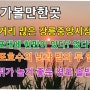 강릉 가볼만한곳/먹거리 많은 강릉중앙시장/경포대에 현판이 있다? 없다?/경포호수의 낮과 밤의 두 얼굴/강쥐가 놀기 좋은 경포 솔밭해변🐕🦺💕