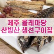 [제주서귀포맛집] 올레마당, 생선구이집, 가성비 좋은 식당 - 내돈내산