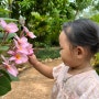 [캄보디아] 시엠립 아이랑 갈만한 곳 “버터플라이 파라다이스”