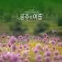 [공주] 공주의 여름 [Summer in Gongju] / 2023