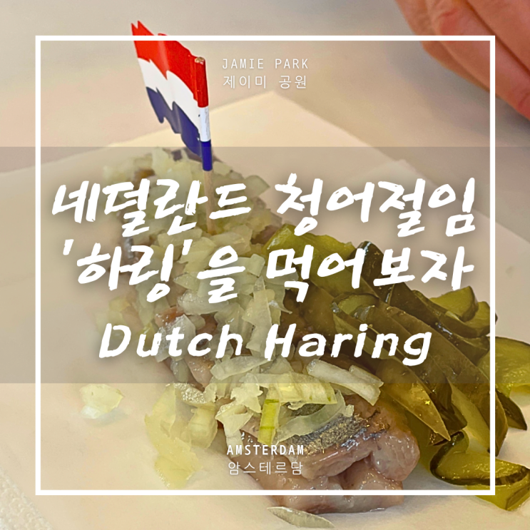네덜란드 청어절임 '하링'은 나에게 토스터블을 가게 만들었다 | Dutch haring, toastable : 네이버 블로그