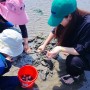서천공무원연수원 바다에서 갯벌 조개잡기체험