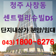 청주 사창동 센트럴리슈빌DS 단지내상가 분양/임대 즉시 입주 호실선점(선임대 분양)